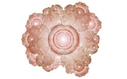 2014 04 26 Afternoon From Blanks 26-white.jpg